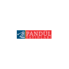 Pandül Yayınları